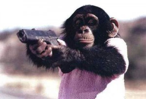 monkey-gun