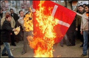 muslims-burn-denmark-flag1